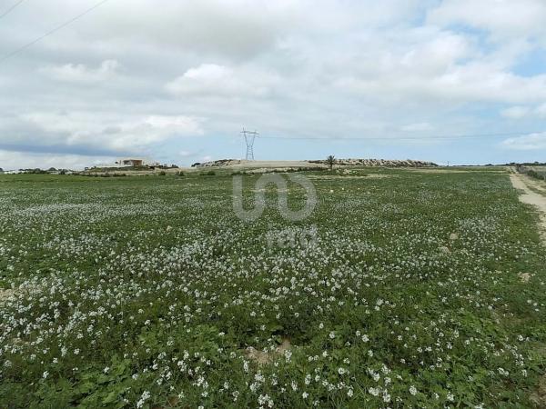 Terreno en La Marina