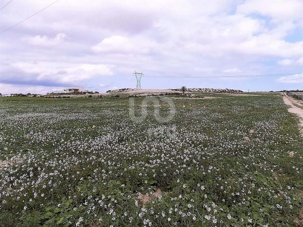 Terreno en La Marina