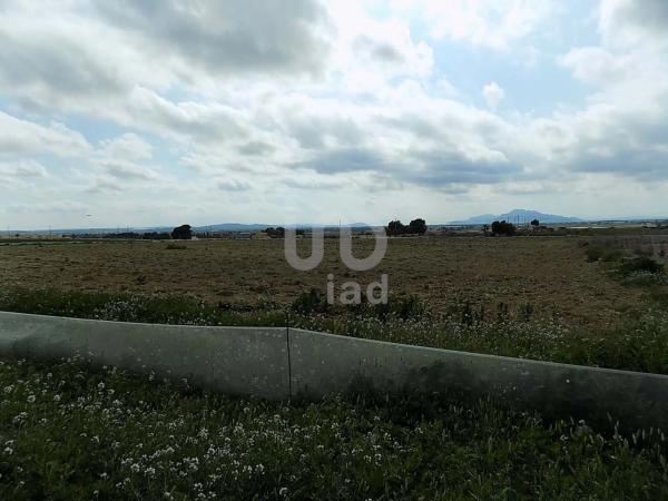 Terreno en La Marina