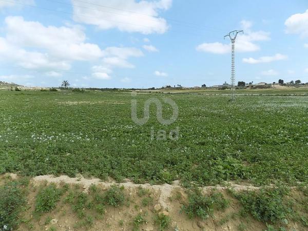 Terreno en La Marina