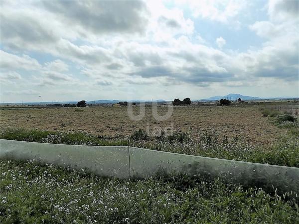Terreno en La Marina