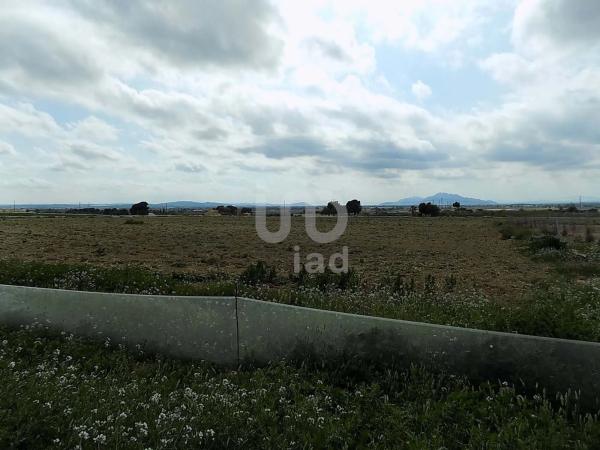 Terreno en La Marina