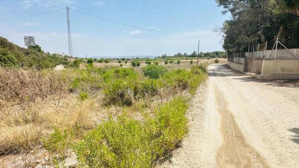Terreno en La Marina