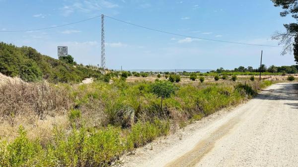 Terreno en La Marina