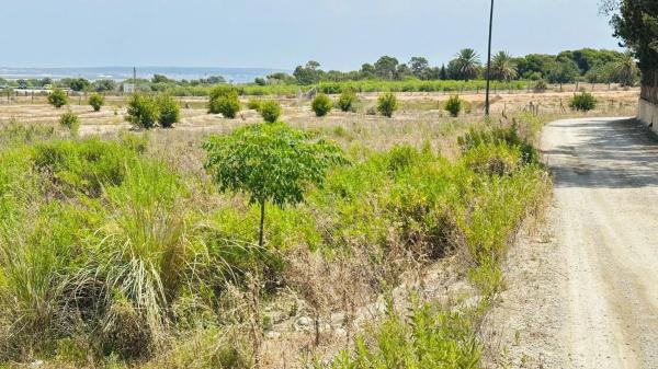 Terreno en La Marina