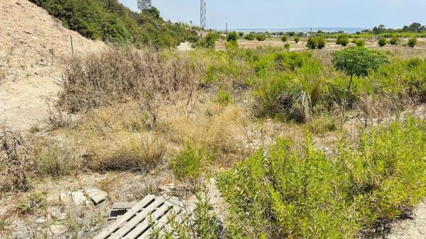 Terreno en La Marina