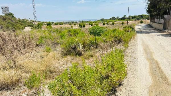 Terreno en La Marina