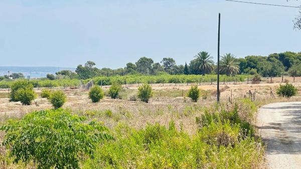 Terreno en La Marina
