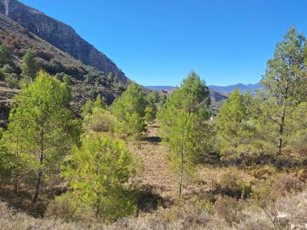 Terreno en Venta de terreno en Polígono 2 Parcela 22 Corcany. Millena, 2 PolgonoParcelaCORCANY, 2 PolgonoParcelaCORCANYMILLENA