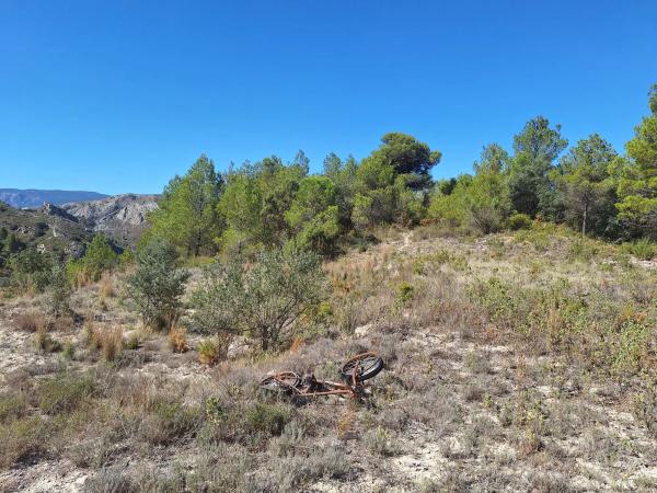 Terreno en Venta de terreno en Polígono 2 Parcela 22 Corcany. Millena, 2 PolgonoParcelaCORCANY, 2 PolgonoParcelaCORCANYMILLENA