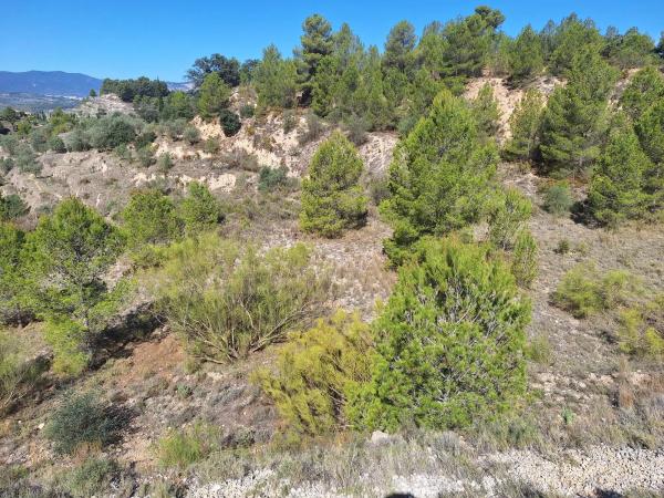 Terreno en Venta de terreno en Polígono 2 Parcela 22 Corcany. Millena, 2 PolgonoParcelaCORCANY, 2 PolgonoParcelaCORCANYMILLENA