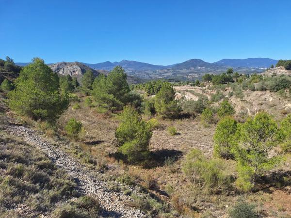 Terreno en Venta de terreno en Polígono 2 Parcela 22 Corcany. Millena, 2 PolgonoParcelaCORCANY, 2 PolgonoParcelaCORCANYMILLENA