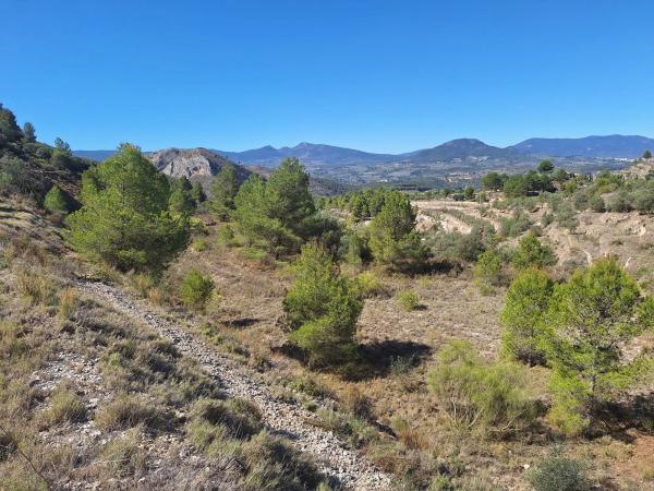 Terreno en Venta de terreno en Polígono 2 Parcela 22 Corcany. Millena, 2 PolgonoParcelaCORCANY, 2 PolgonoParcelaCORCANYMILLENA