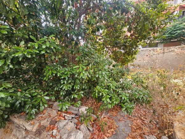 Terreno en Barrio San Gabriel