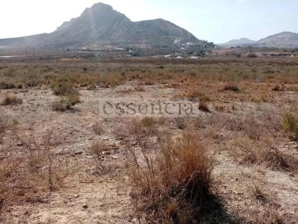 Terreno en Barrio Ciudad de Asís - Font-Calent - El Bacarot