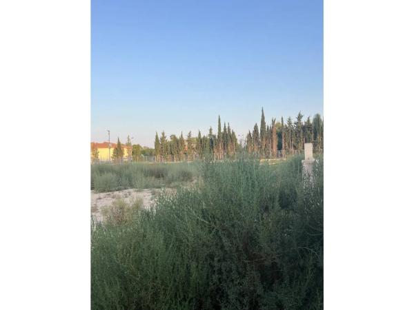 Terreno en calle Serra d'Alfaro