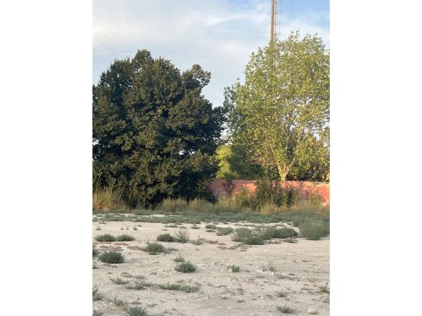 Terreno en calle Serra d'Alfaro