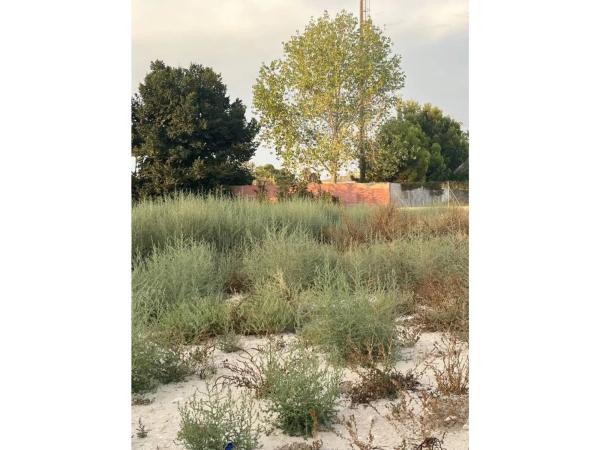 Terreno en calle Serra d'Alfaro