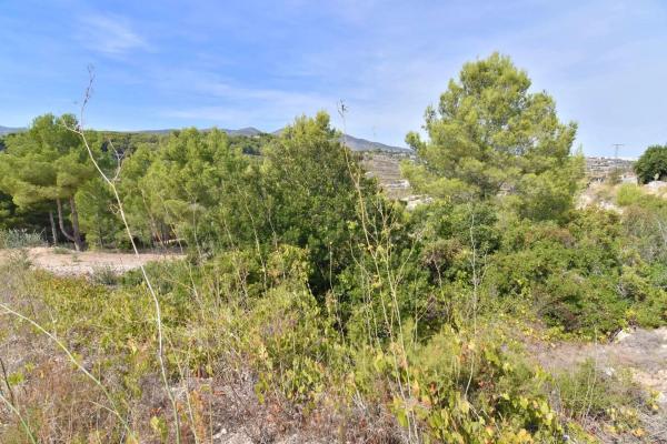 Terreno en Cometa-Carrió
