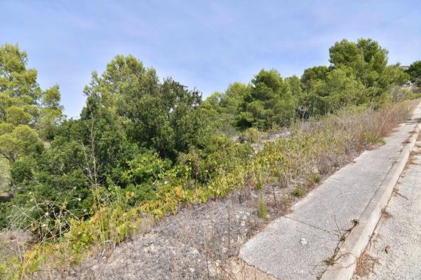 Terreno en Cometa-Carrió