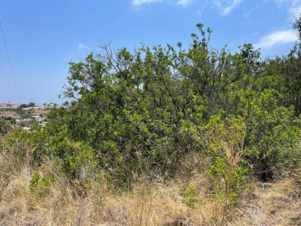 Terreno en Cometa-Carrió
