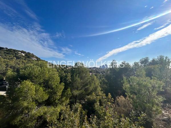Terreno en Cometa-Carrió