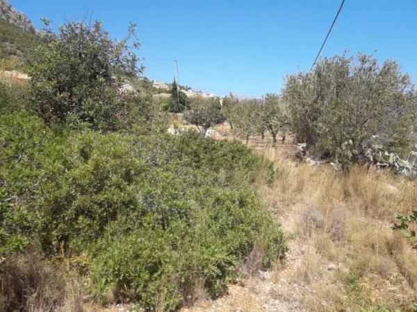 Terreno en Gargasindi