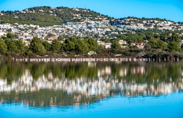 Terreno en Partida Garduix