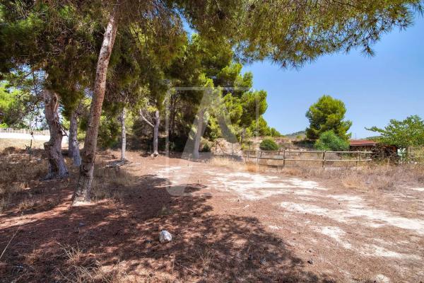 Terreno en Cometa-Carrió