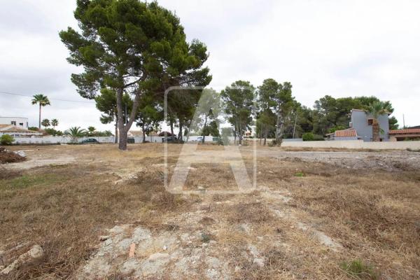 Terreno en Cometa-Carrió