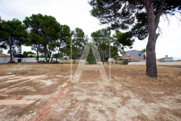 Terreno en Cometa-Carrió