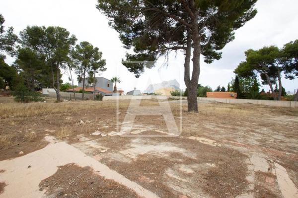 Terreno en Cometa-Carrió