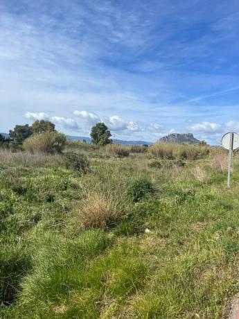 Terreno en carretera de les Marines a Dénia, 181