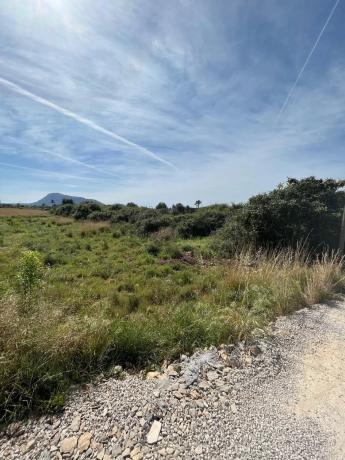 Terreno en carretera de les Marines a Dénia, 181