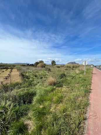 Terreno en carretera de les Marines a Dénia, 181