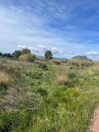 Terreno en carretera de les Marines a Dénia, 181