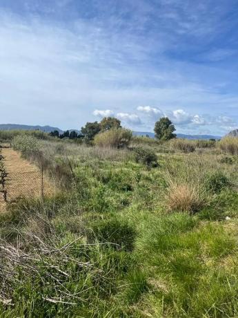Terreno en carretera de les Marines a Dénia, 181