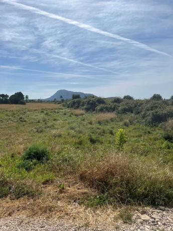 Terreno en carretera de les Marines a Dénia, 181