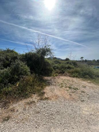 Terreno en carretera de les Marines a Dénia, 181