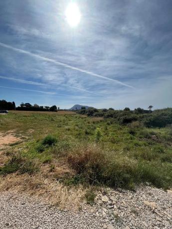 Terreno en carretera de les Marines a Dénia, 181