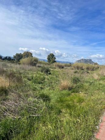Terreno en carretera de les Marines a Dénia, 181