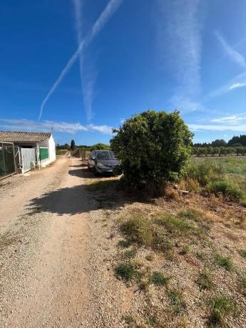 Terreno en carretera de les Marines a Dénia, 181