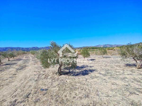 Terreno en La Xara - La Sella - Jesús Pobre