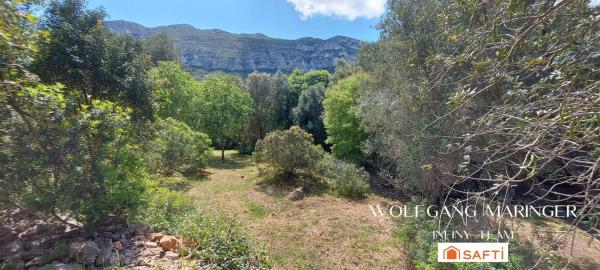 Terreno en camino Corral de Calafat s/n