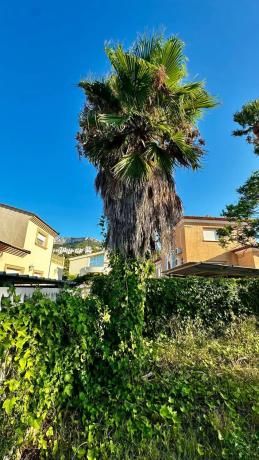 Terreno en La Pedrera-Vessanes