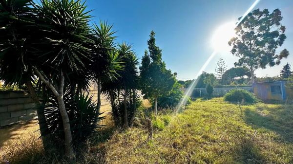 Terreno en La Pedrera-Vessanes