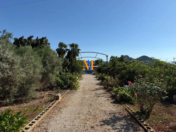 Terreno en Partida Benimaquia