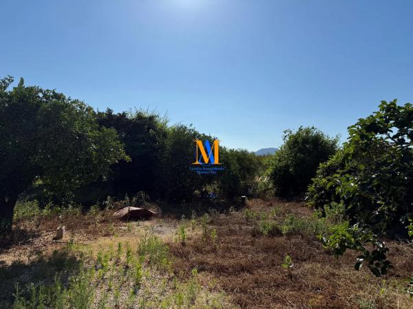 Terreno en Partida Benimaquia