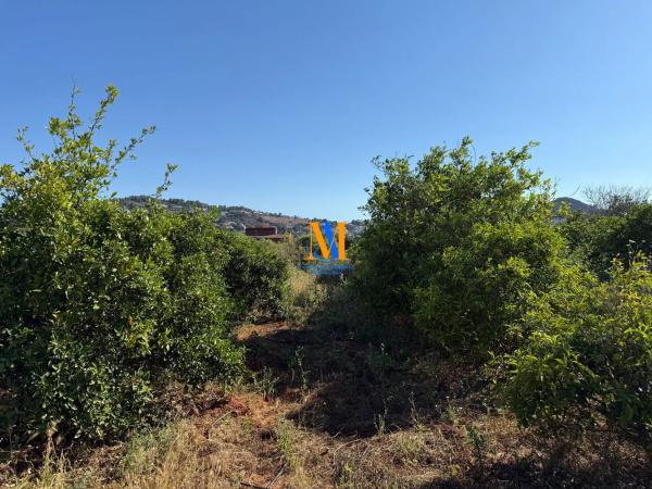 Terreno en Partida Benimaquia