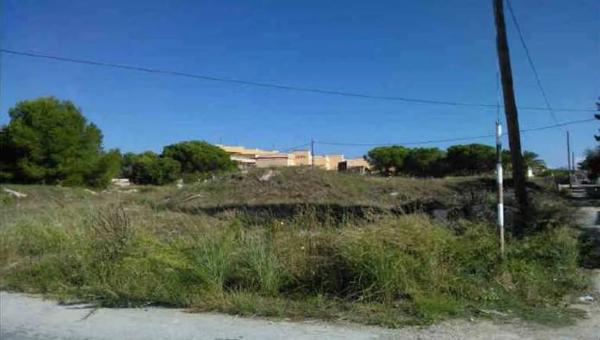 Terreno en carretera de les Marines a Dénia, 47